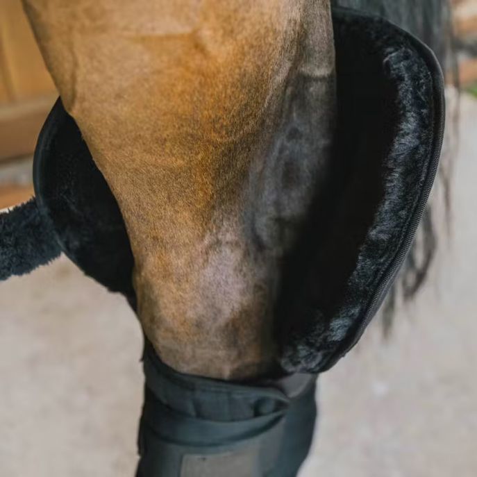 KENTUCKY Paracolpi Transport Stable Bandage Pad with Hock Protection Kentucky 42118 01BLACK 