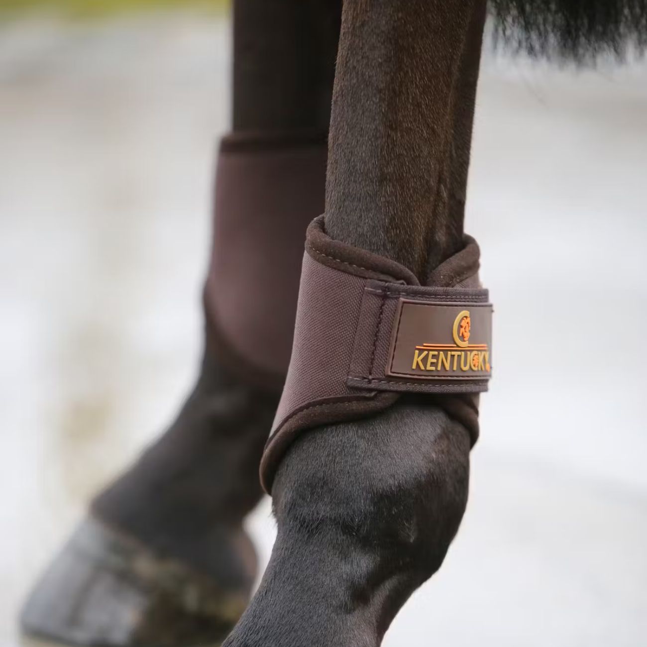 KENTUCKY KENTUCKY TURNOUT BOOTS 3D SPACER SHORT KENTUCKY Marrone protezioni arti cavallo 42307 05BROWN 