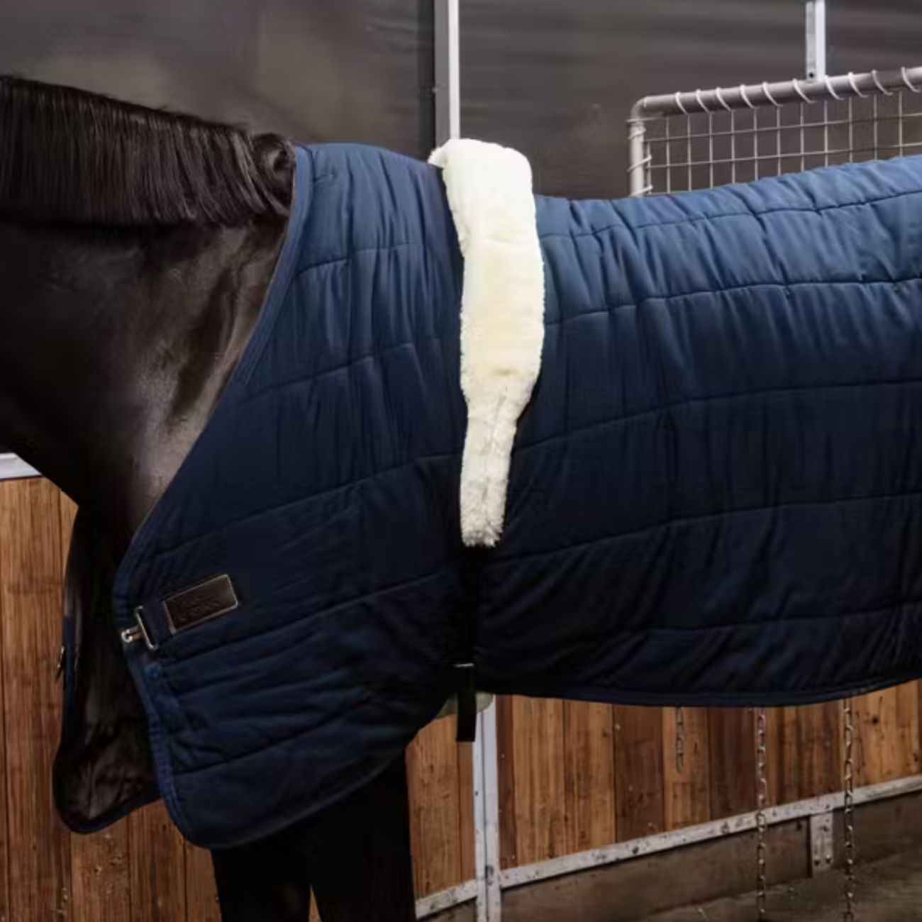 KENTUCKY KENTUCKY SHEEPSKIN NYLON WALKER GIRTH KENTUCKY Nero sottopancia da salto 42431 02BLACK 