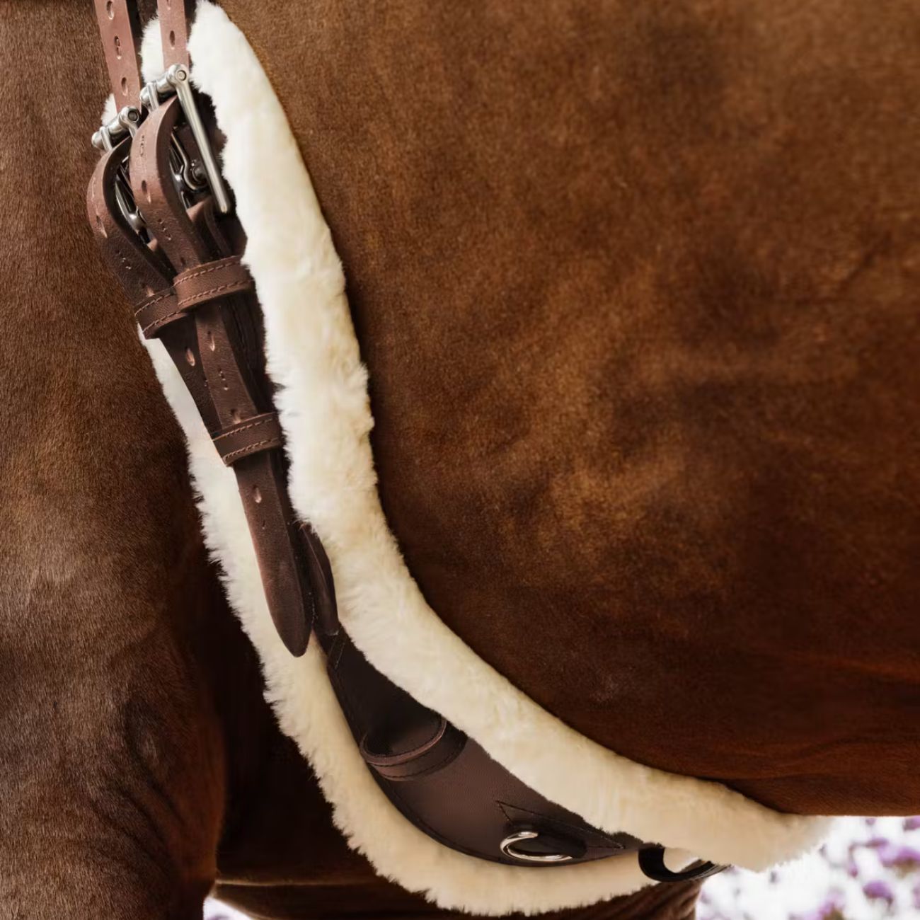 KENTUCKY KENTUCKY SHEEPSKIN ANATOMIN SHORT GIRTH KENTUCKY Marrone sottopancia da salto 42434 05BROWN 