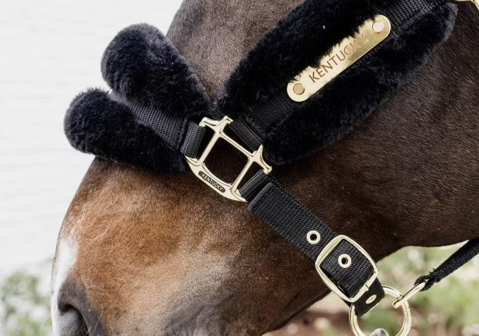 KENTUCKY KENTUCKY NYLON SHEEPSKIN HALTER SOFT KENTUCKY Nero capezza per stalla e paddock 42565 01BLACK 