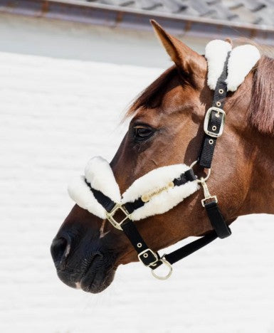 KENTUCKY KENTUCKY NYLON SHEEPSKIN HALTER SOFT KENTUCKY Bianco capezza per stalla e paddock 42565 02NATURAL 