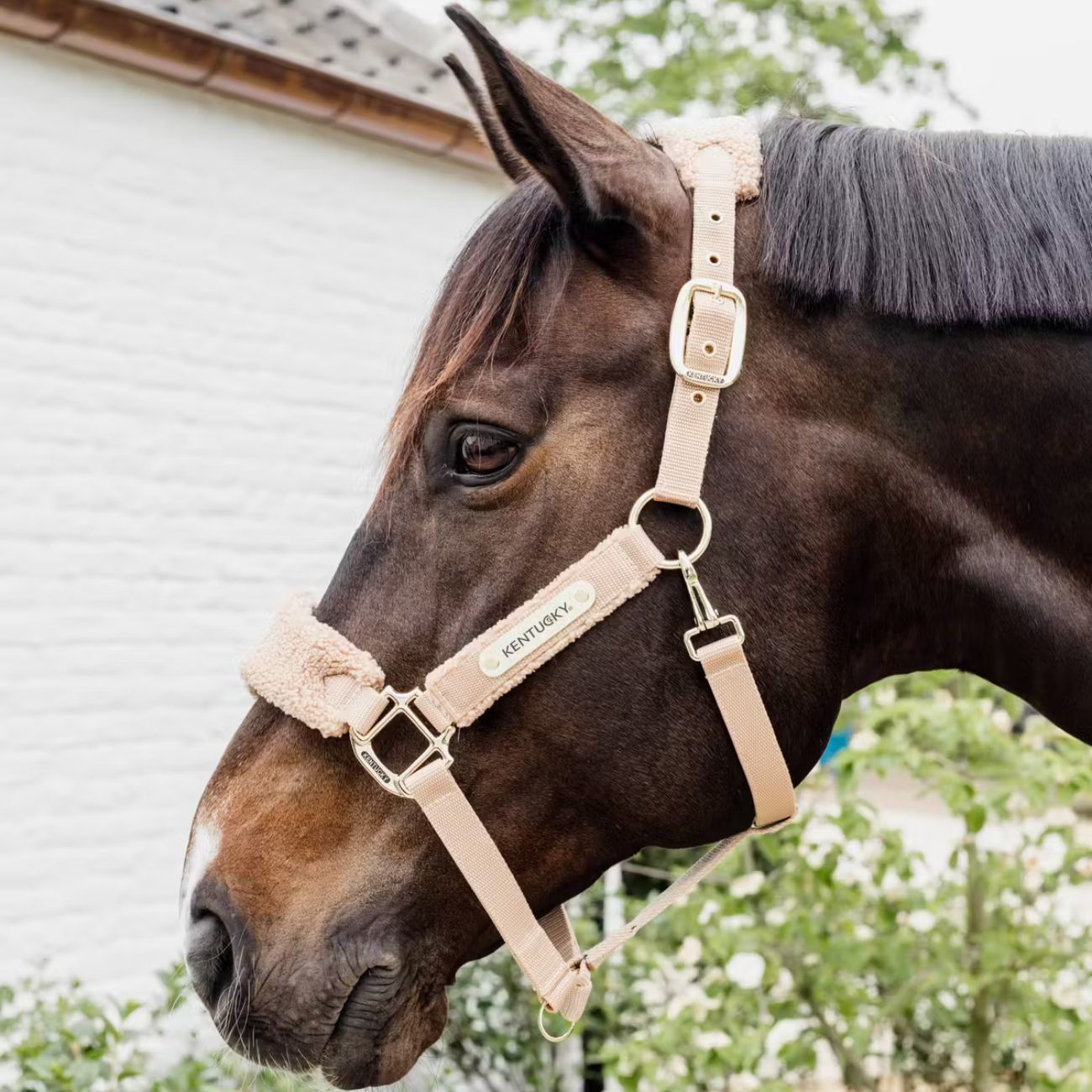 KENTUCKY KENTUCKY CAPEZZA CON PELO SINTETICO KENTUCKY Beige capezza per stalla e paddock 42573 32BEIGE 