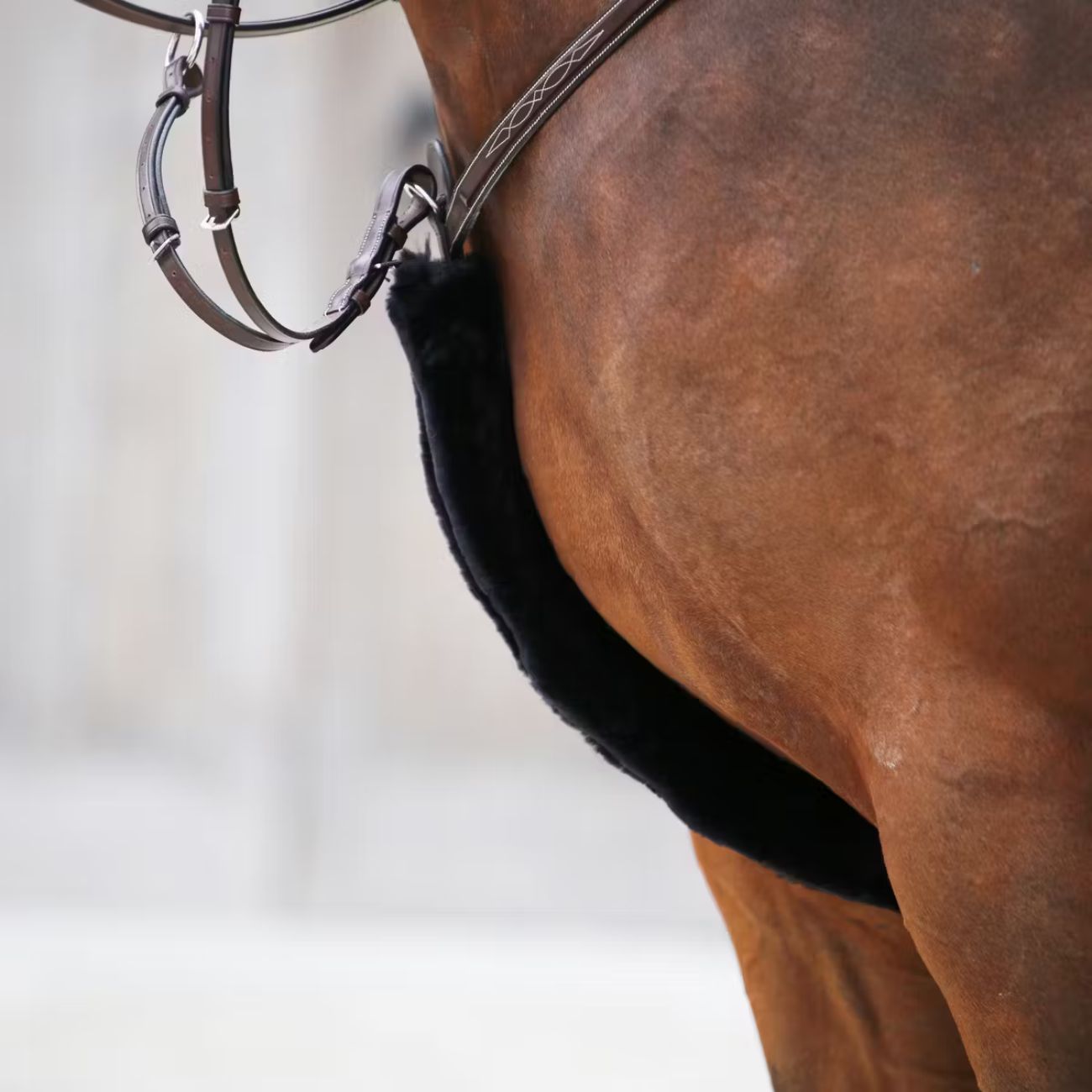 KENTUCKY Agnellino Per Pettorale Kentucky Nero 42601 01BLACK 