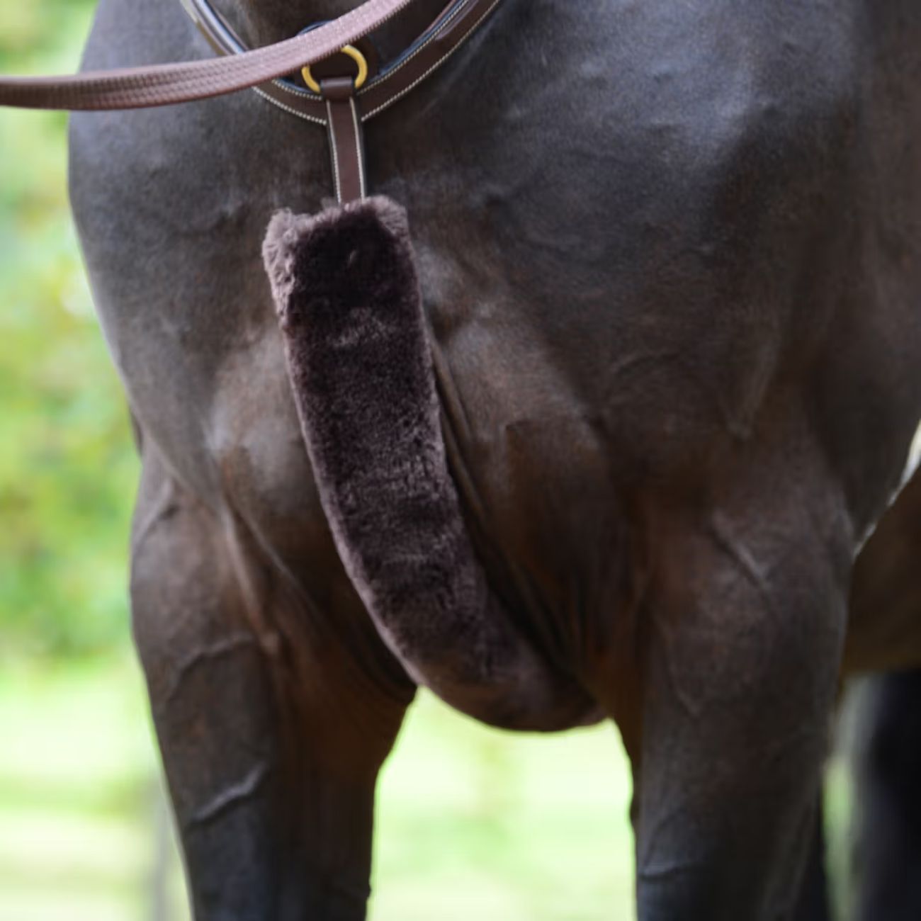 KENTUCKY Agnellino Per Pettorale Kentucky Marrone 42601 05BROWN 