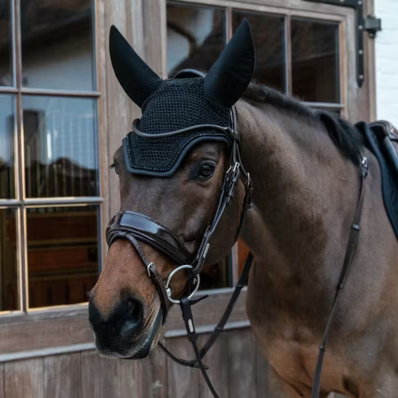 KENTUCKY KENTUCKY FLY VEIL WELLINGTON GLITTER SOUNDLESS KENTUCKY Nero cuffie antirumore - antimosche 42619 01BLACK 