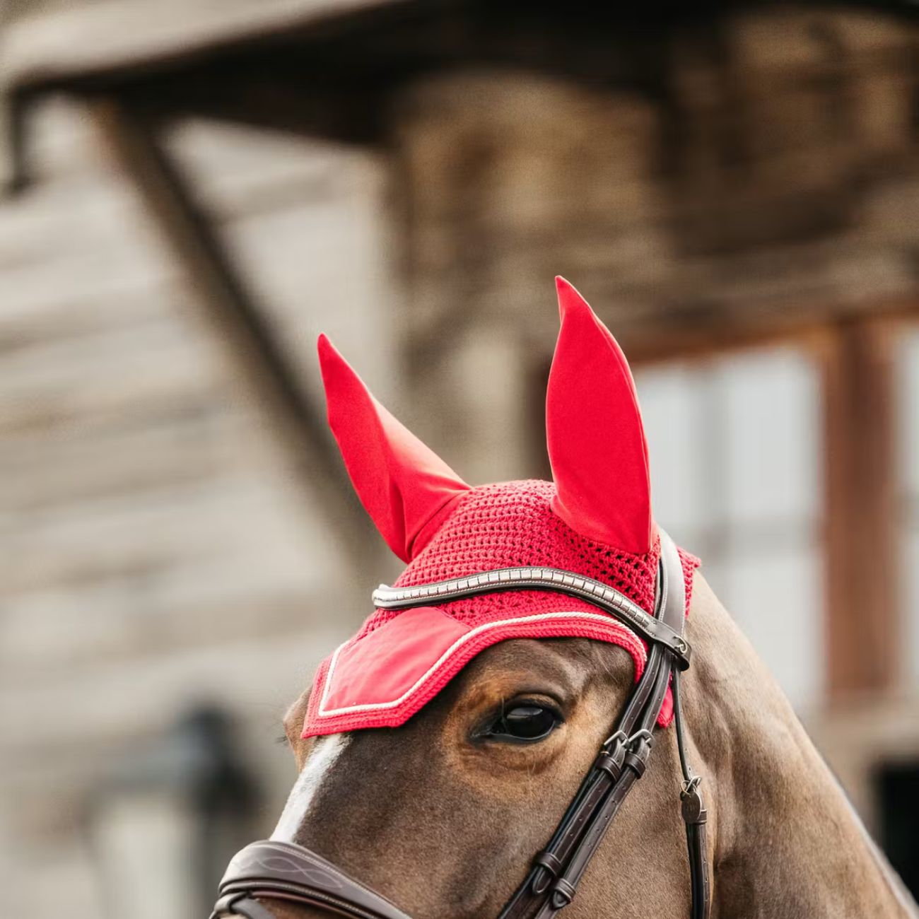 KENTUCKY Cuffietta Antimosche Wellington Velvet Kentucky Rosso 42626 13RED 