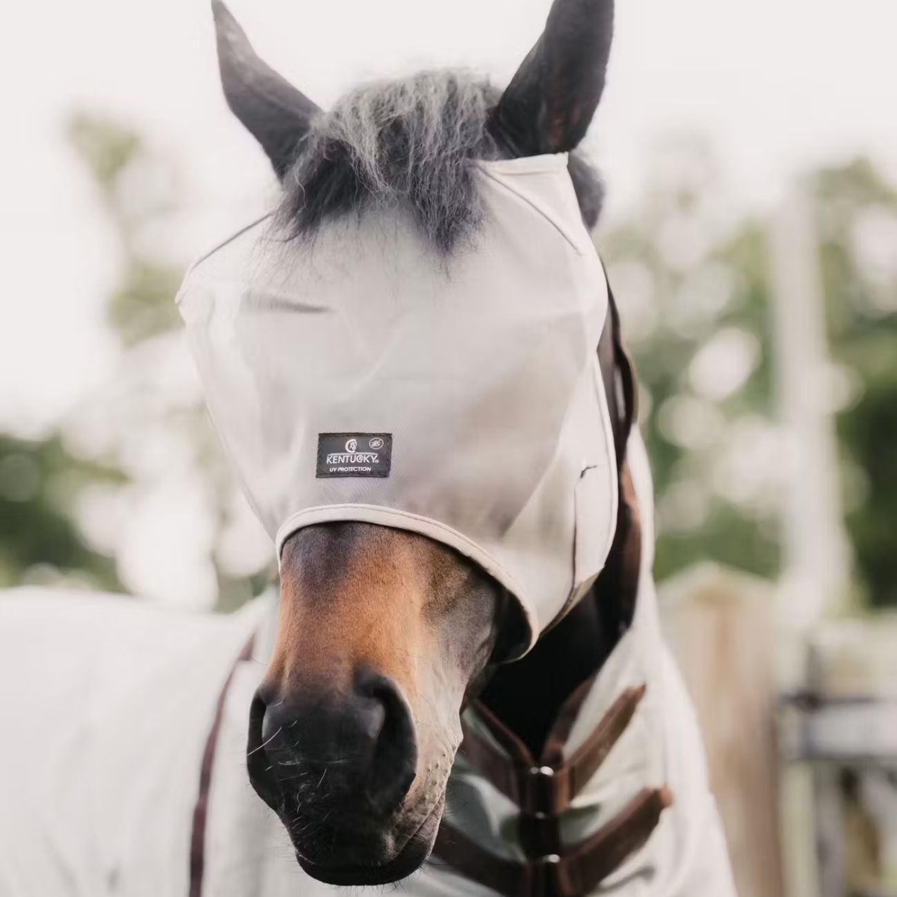 KENTUCKY KENTUCKY FLY MASK CLASSIC WITHOUT EARS KENTUCKY Beige cuffie antirumore - antimosche 42645 32BEIGE 
