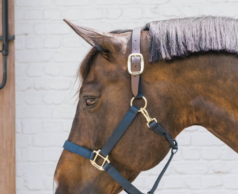 KENTUCKY KENTUCKY NYLON HALTER BREAKAWAY KENTUCKY Blu capezza per stalla e paddock 42665 03NAVY 