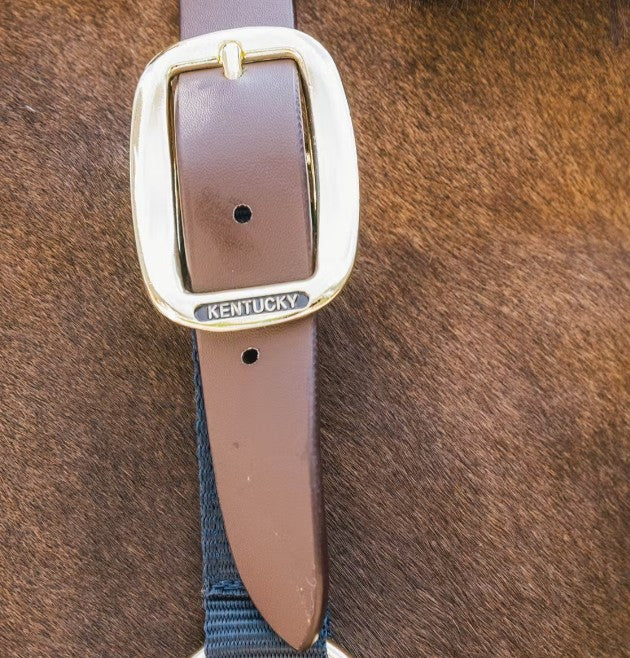KENTUCKY KENTUCKY NYLON HALTER BREAKAWAY KENTUCKY Blu capezza per stalla e paddock 42665 03NAVY 