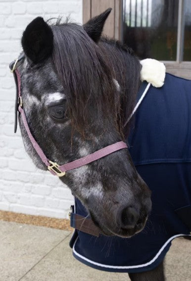 KENTUCKY KENTUCKY NYLON HALTER BREAKAWAY KENTUCKY Rosa capezza per stalla e paddock 42665 10OLDROSE 
