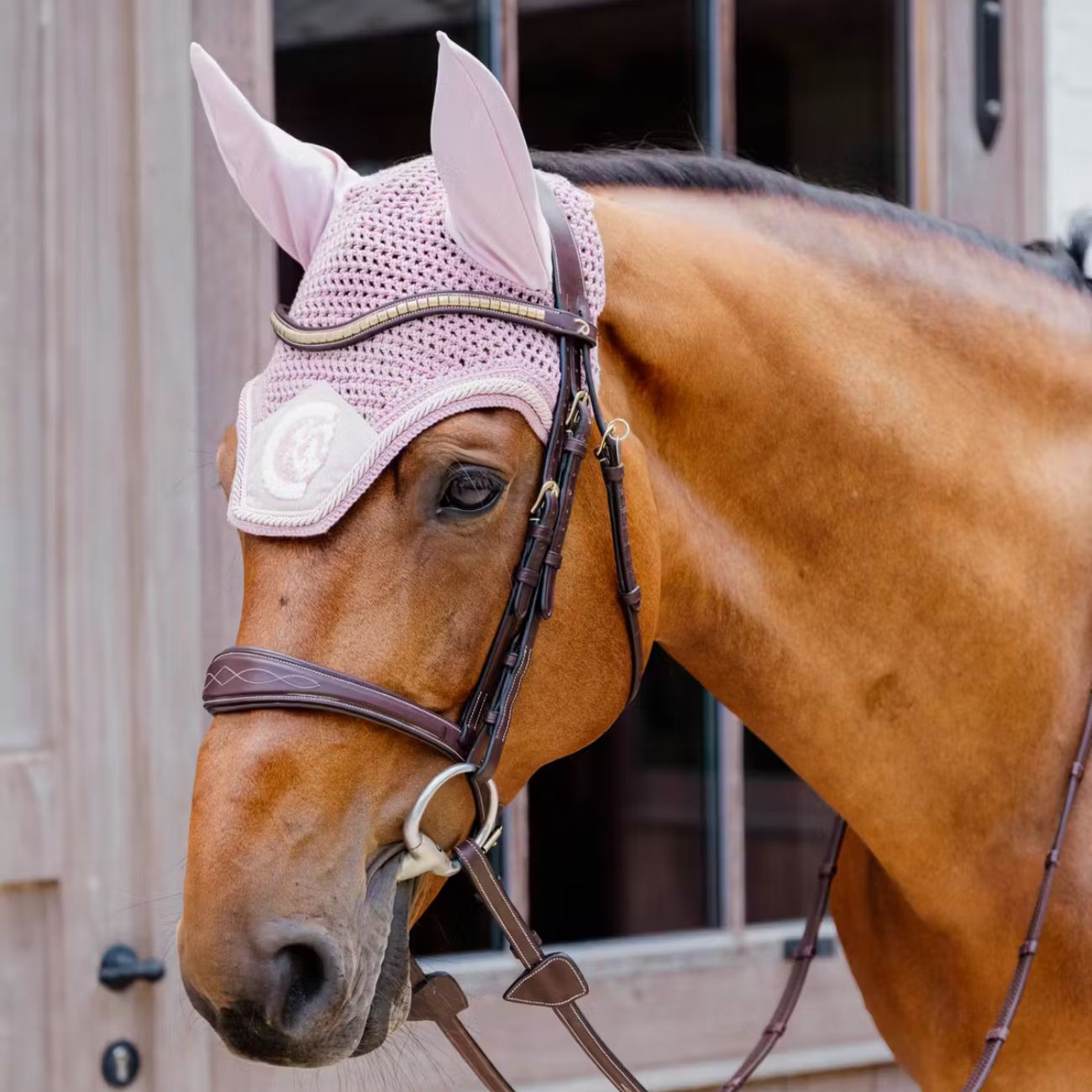 KENTUCKY KENTUCKY FLY VEIL WELLINGTON 3D LOGO KENTUCKY Light rose cuffie antirumore - antimosche 42669 50LIGHTROSE 