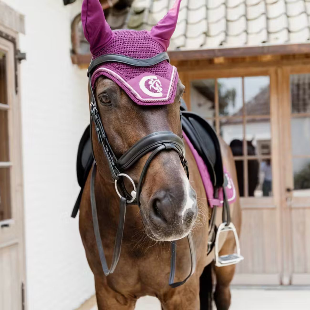 KENTUCKY KENTUCKY FLY VEIL WELLINGTON 3D LOGO KENTUCKY Rosso cuffie antirumore - antimosche 42669 75PURPLE 
