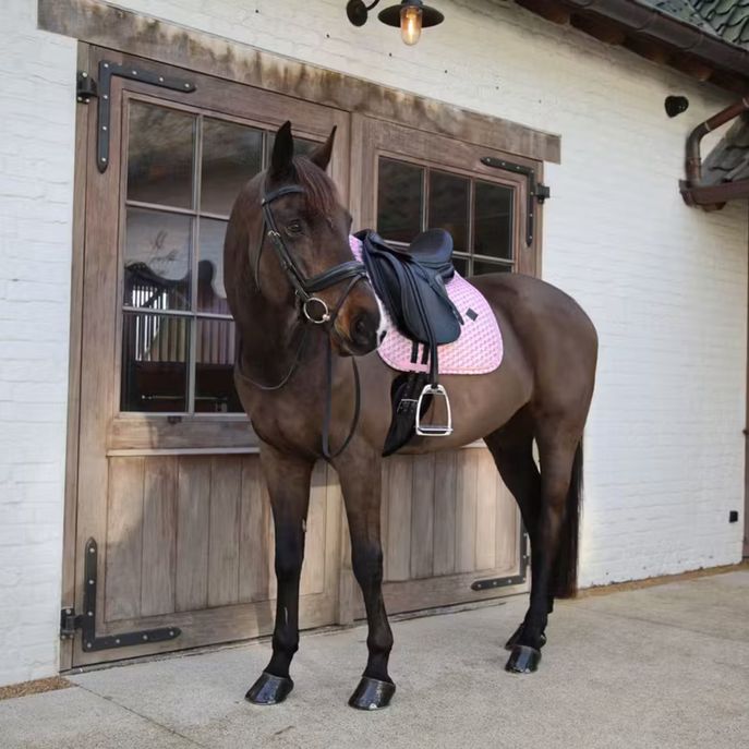 KENTUCKY Sottosella Da Dressage Sammy Collection Kentucky 42723-DR 10OLDROSE 