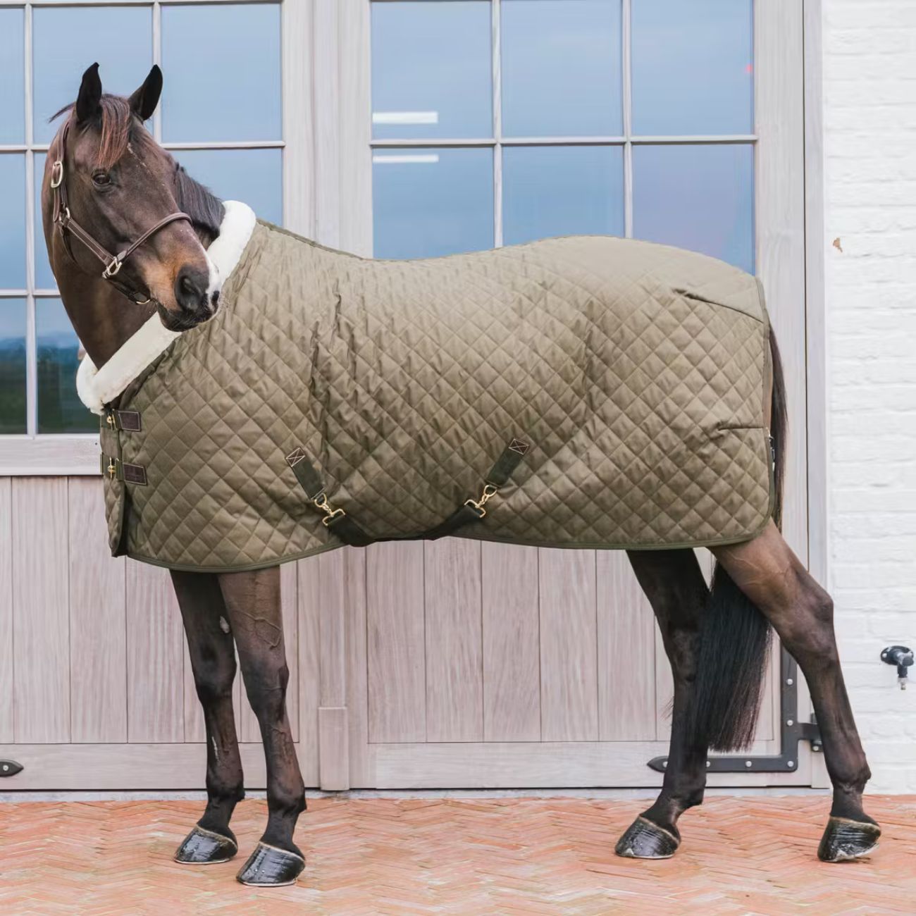KENTUCKY Coperta Show Rug 160gr Kentucky Kaki 52101 75KAKI 