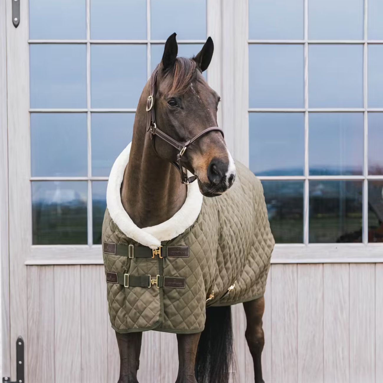 KENTUCKY Coperta Show Rug 160gr Kentucky Kaki 52101 75KAKI 
