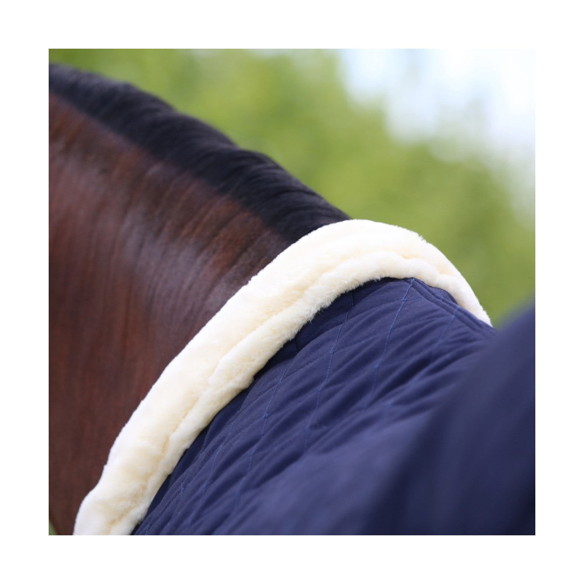 KENTUCKY Coperta Da Box Tiny 400gr Kentucky Blu 52102 NAVY 