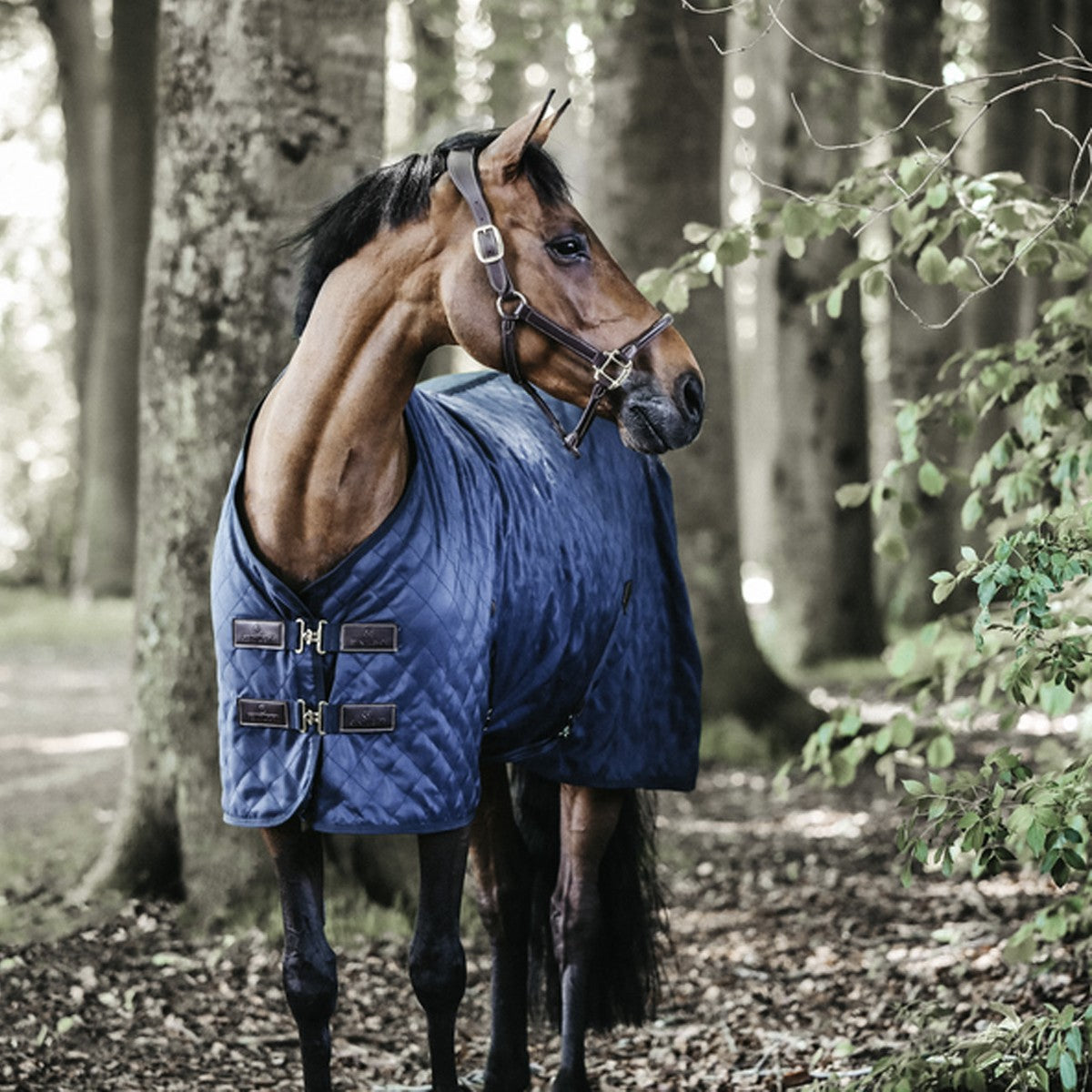 KENTUCKY Coperta Da Box Stable Rug 0gr Kentucky Blu 52124 03NAVY 