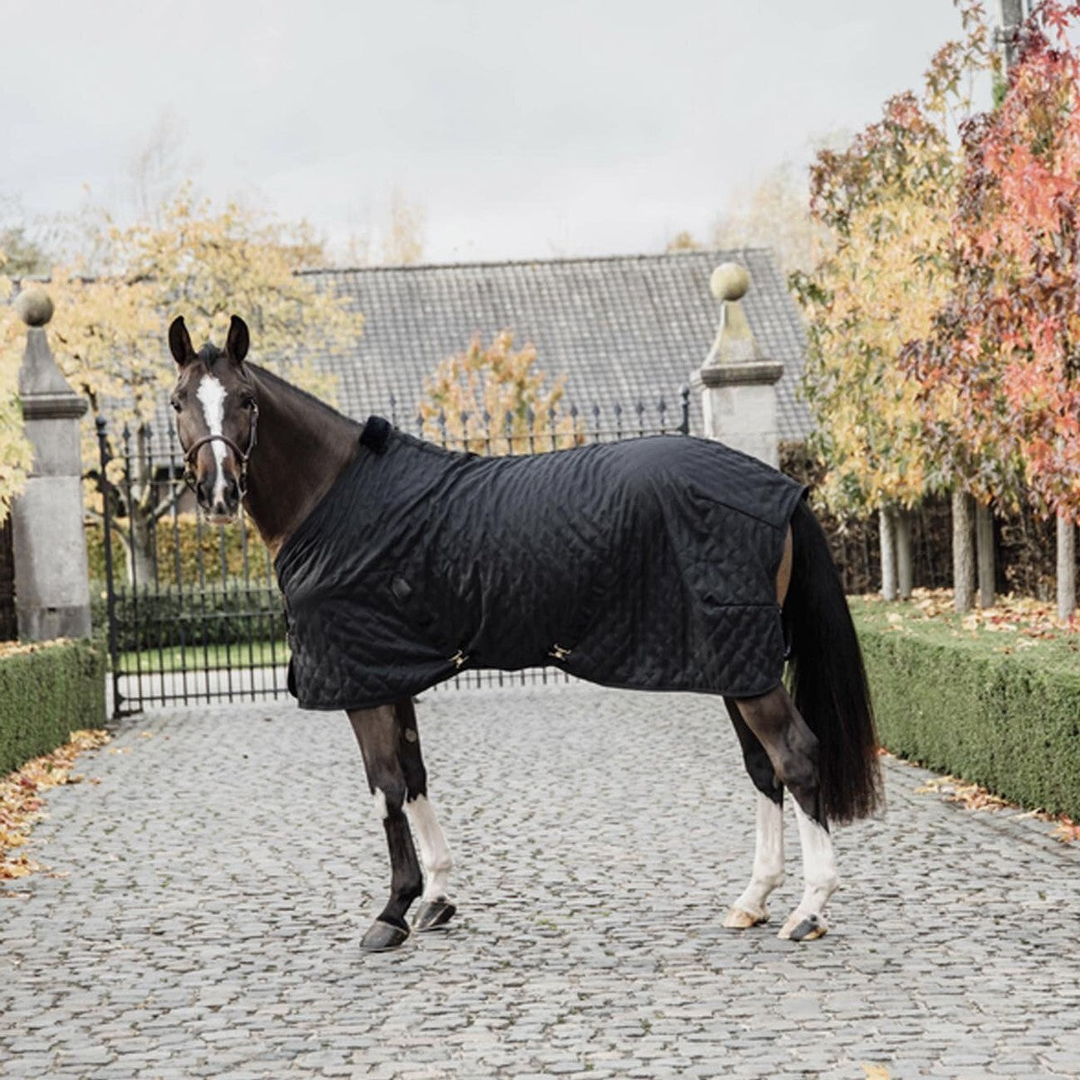 KENTUCKY Coperta Da Box Stable Rug 0gr Kentucky Nero 52124 11BLACK/BLACK 