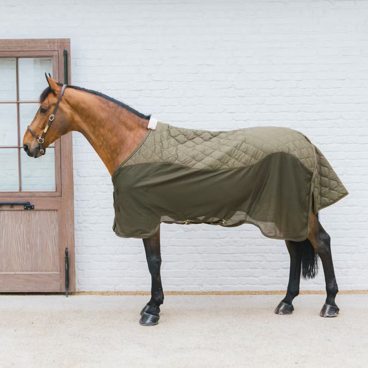 KENTUCKY KENTUCKY TRANSPORT COMBO COOLER FLEECE Verde coperta per cavallo 52128 74PINEGREEN 