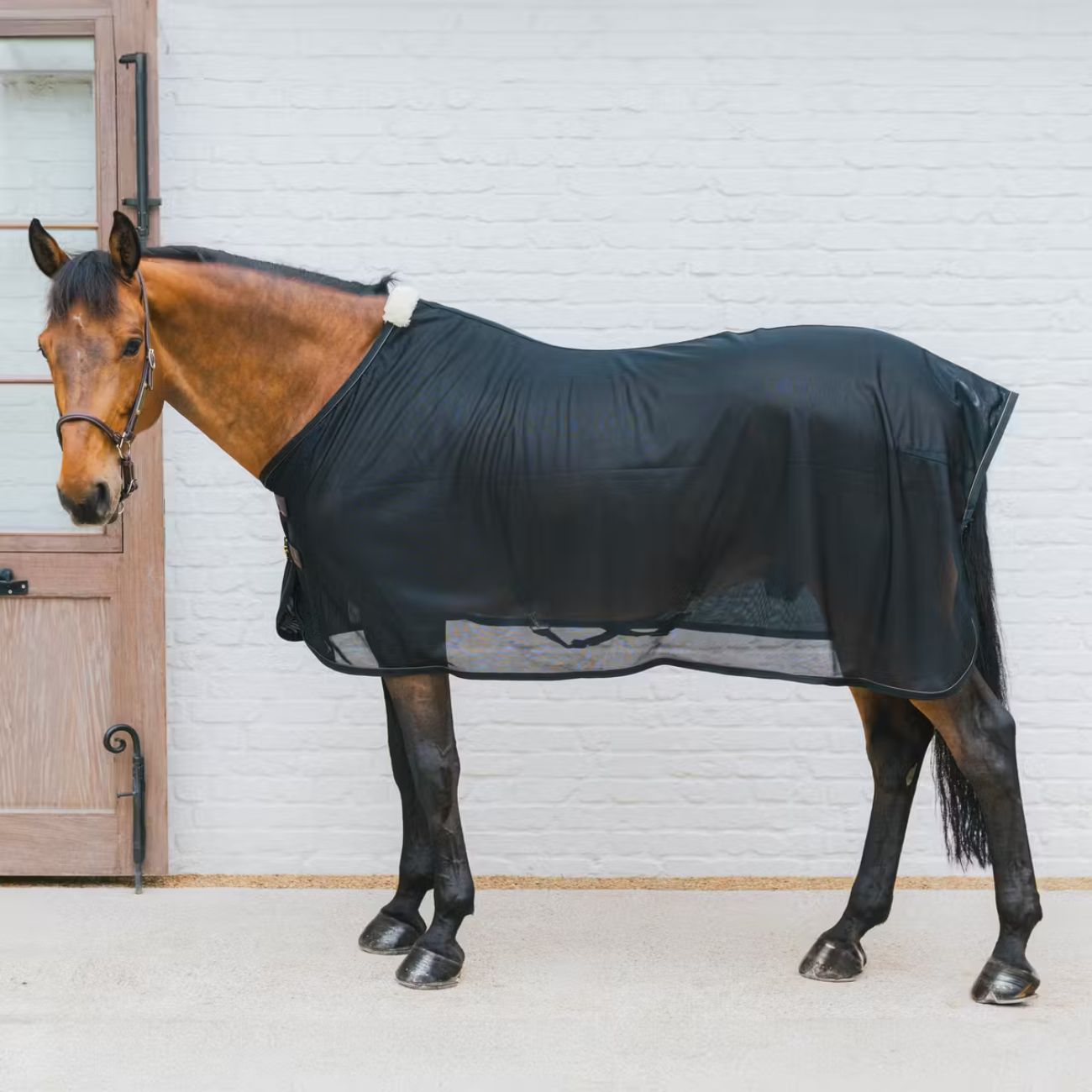 KENTUCKY KENTUCKY COPERTA ANTIINSETTI MESH FLY SHEET Nero coperta per cavallo 52157 01BLACK 