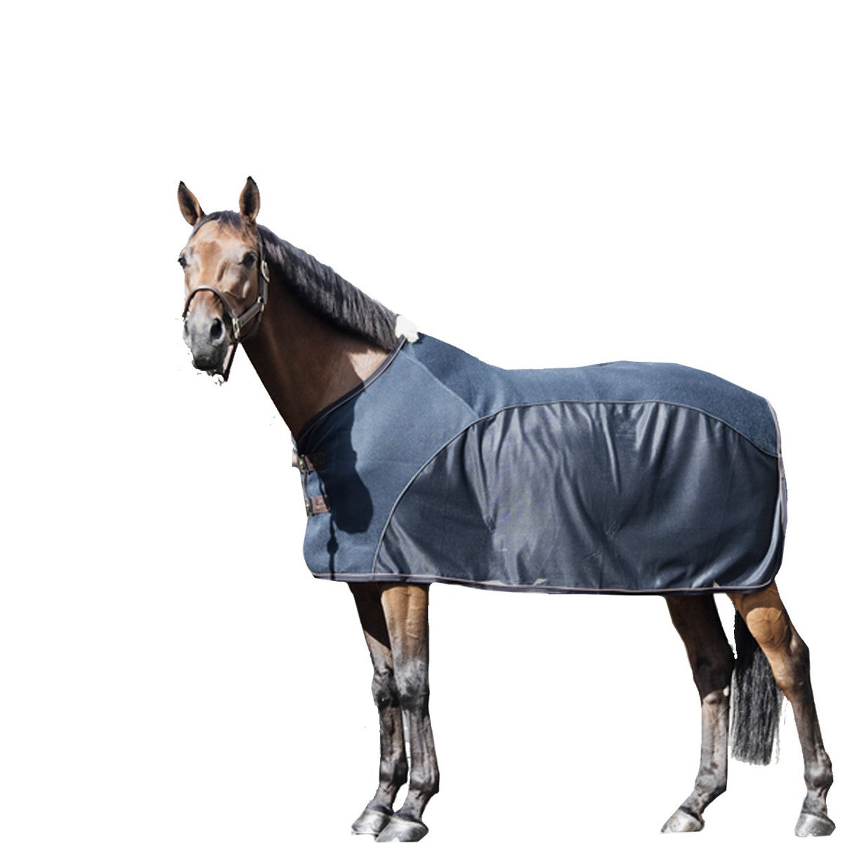 KENTUCKY Coperta Combo Cooler Sheet Kentucky 52158 03NAVY 
