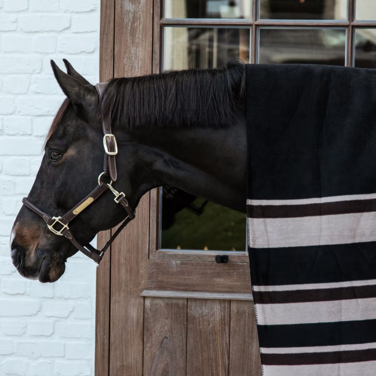 KENTUCKY Coperta In Pile 210x200cm Heavy Fleece Square Stripes Kentucky Marrone/Beige 52172 05BROWN/BEIGE 