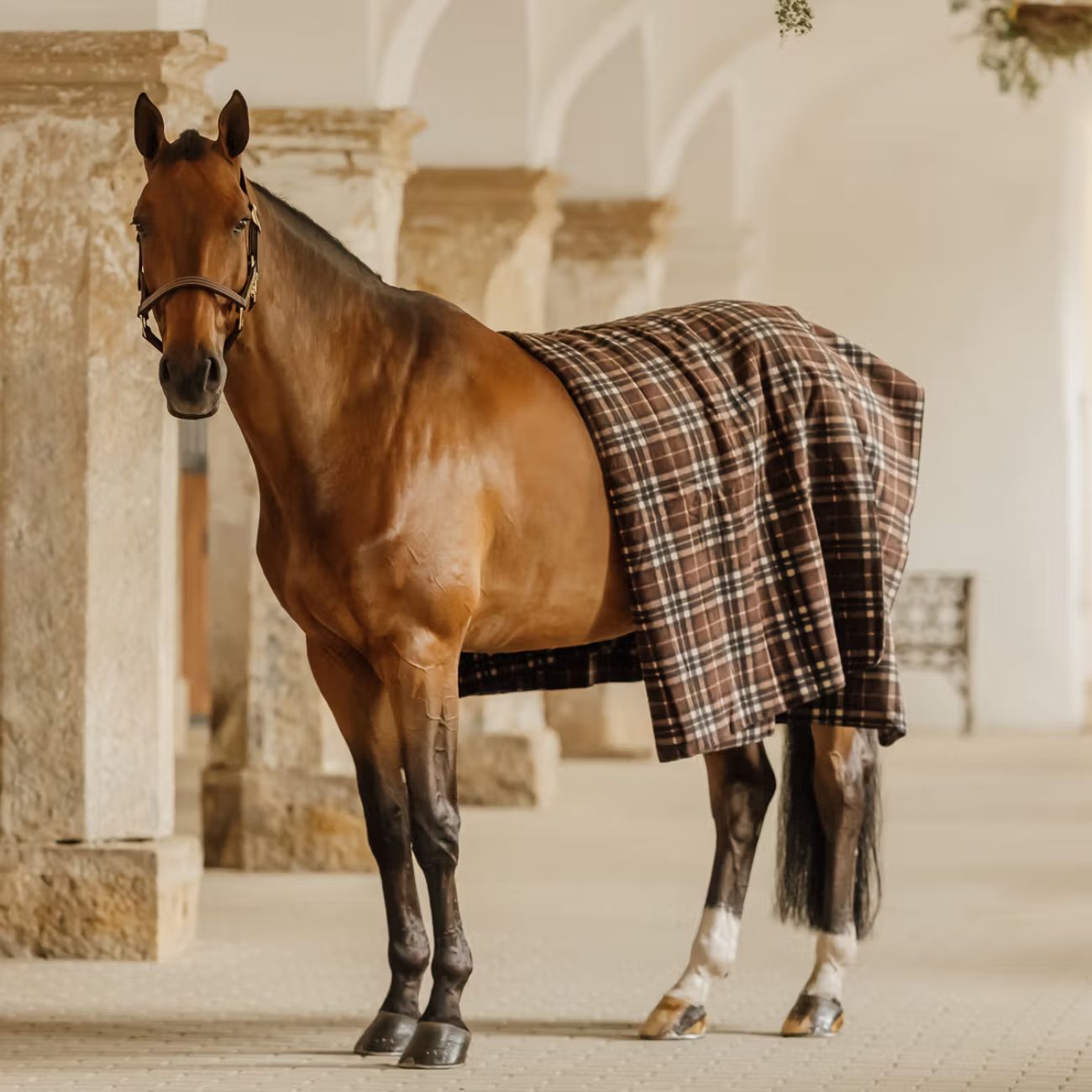 KENTUCKY Coperta In Pile 210x200cm Heavy Fleece Square Kentucky Marrone 52172 55BROWN 
