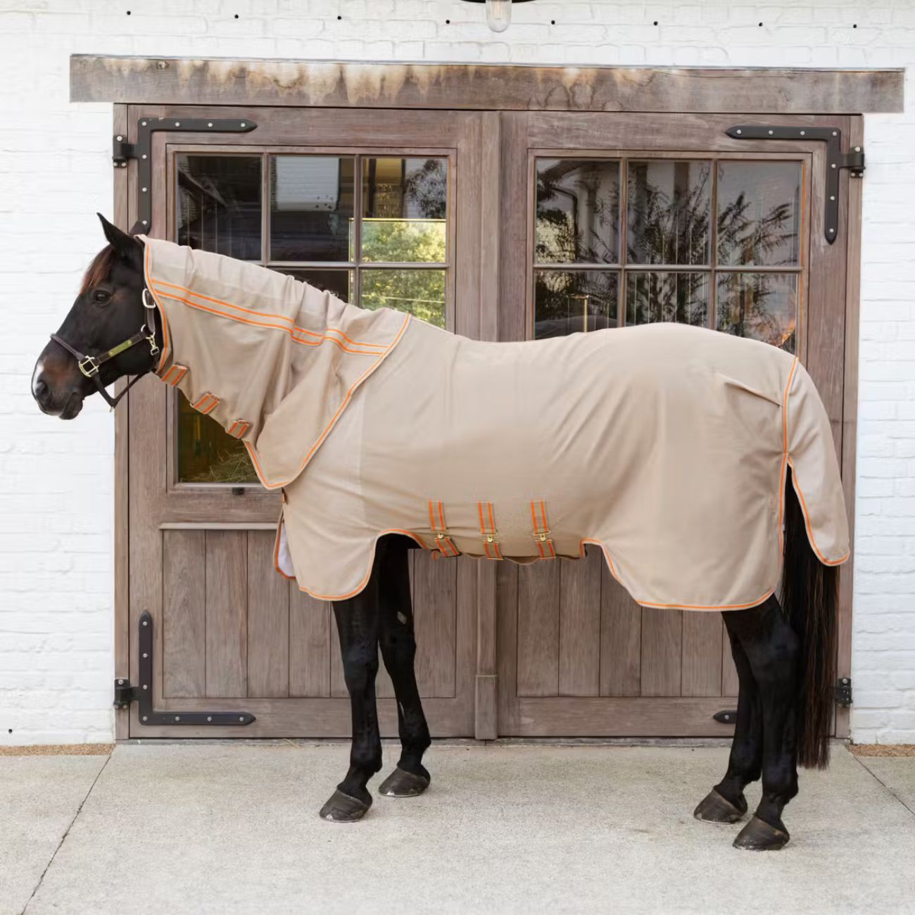 KENTUCKY KENTUCKY MESH FLY RUG COMFORT KENTUCKY Beige/orange coperta per cavallo 52237 32BEIGE/ORANGE 