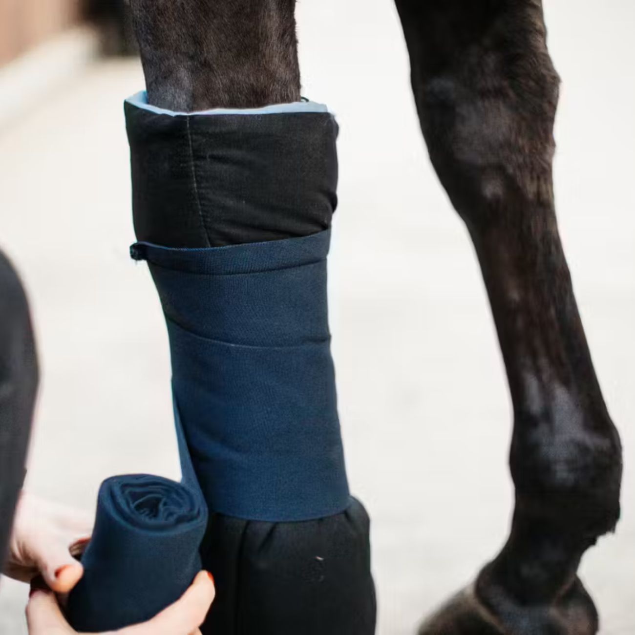 KENTUCKY KENTUCKY MAGNETIC BANDAGE PAD RECUPTEX KENTUCKY Nero paracolpi da trasporto 62102 01BLACK 