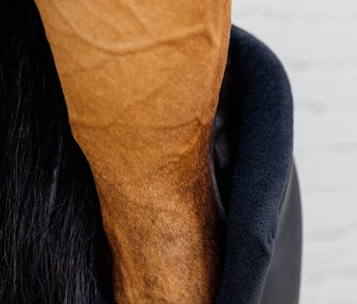 KENTUCKY KENTUCKY STABLE BOOTS PROTECT LONG HIND WITH HOOK PROTECTION Nero protezioni arti cavallo 62107 01BLACK 