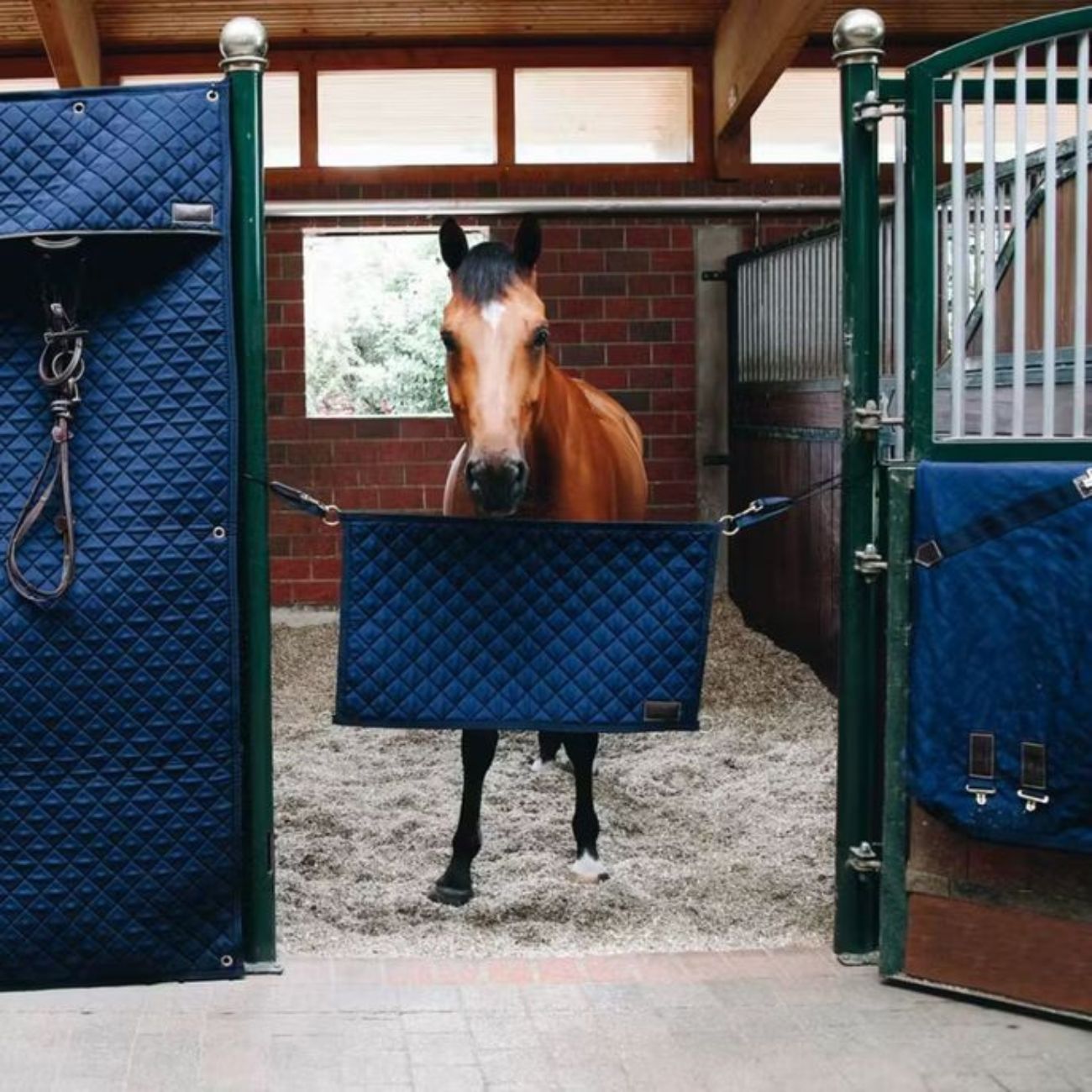 KENTUCKY Cancelletto Da Box 92x53cm Kentucky Blu 82102 03NAVY 