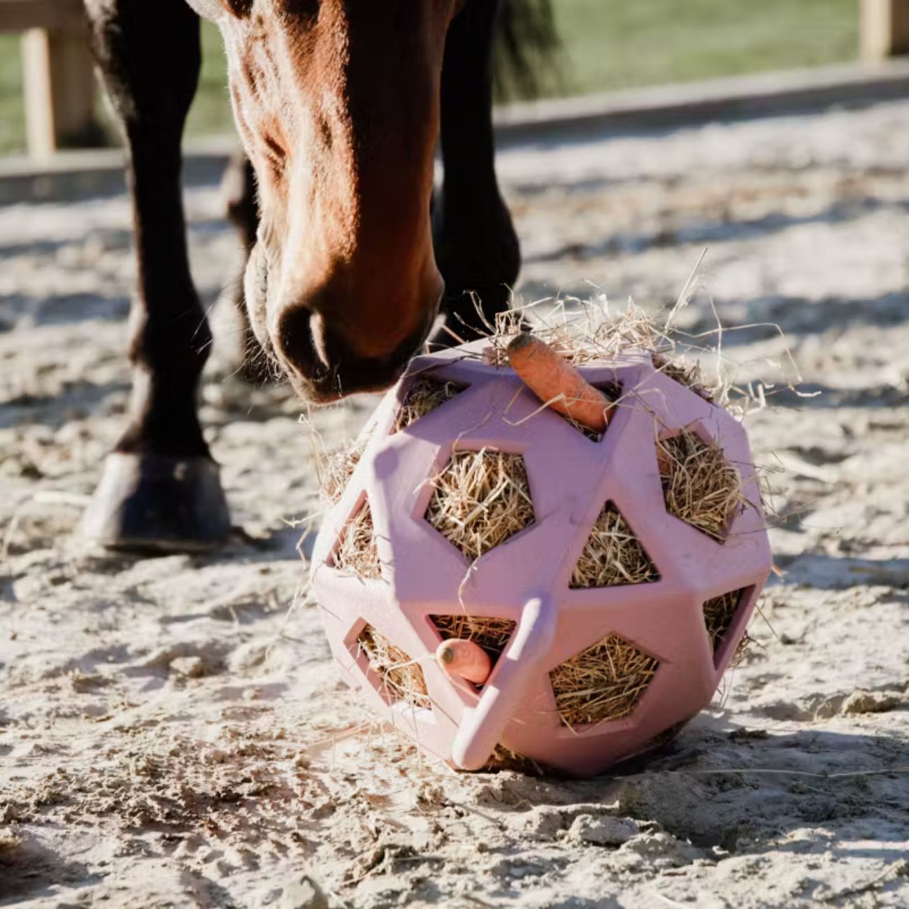 KENTUCKY KENTUCKY PALLA RELAX HORSE PLAY&HAY Rosa accessori per il cavallo 82153 10OLDROSE 