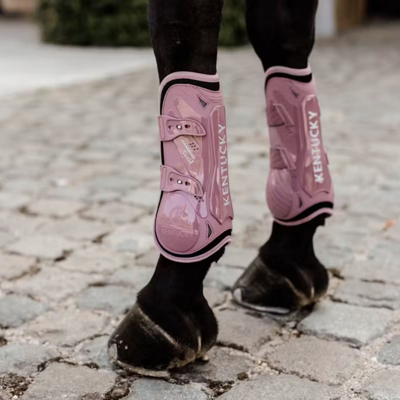 KENTUCKY KENTUCKY PARATENDINI IN BAMBÙ ELASTICO KENTUCKT Rosa stinchiere 88101 10OLDROSE 