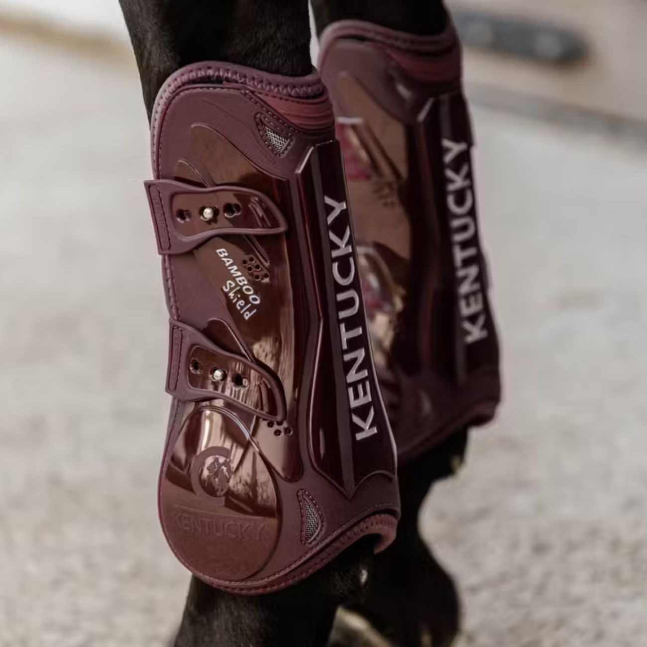 KENTUCKY KENTUCKY PARATENDINI IN BAMBÙ ELASTICO KENTUCKT Bordeaux stinchiere 88101 17BORDEAUX 