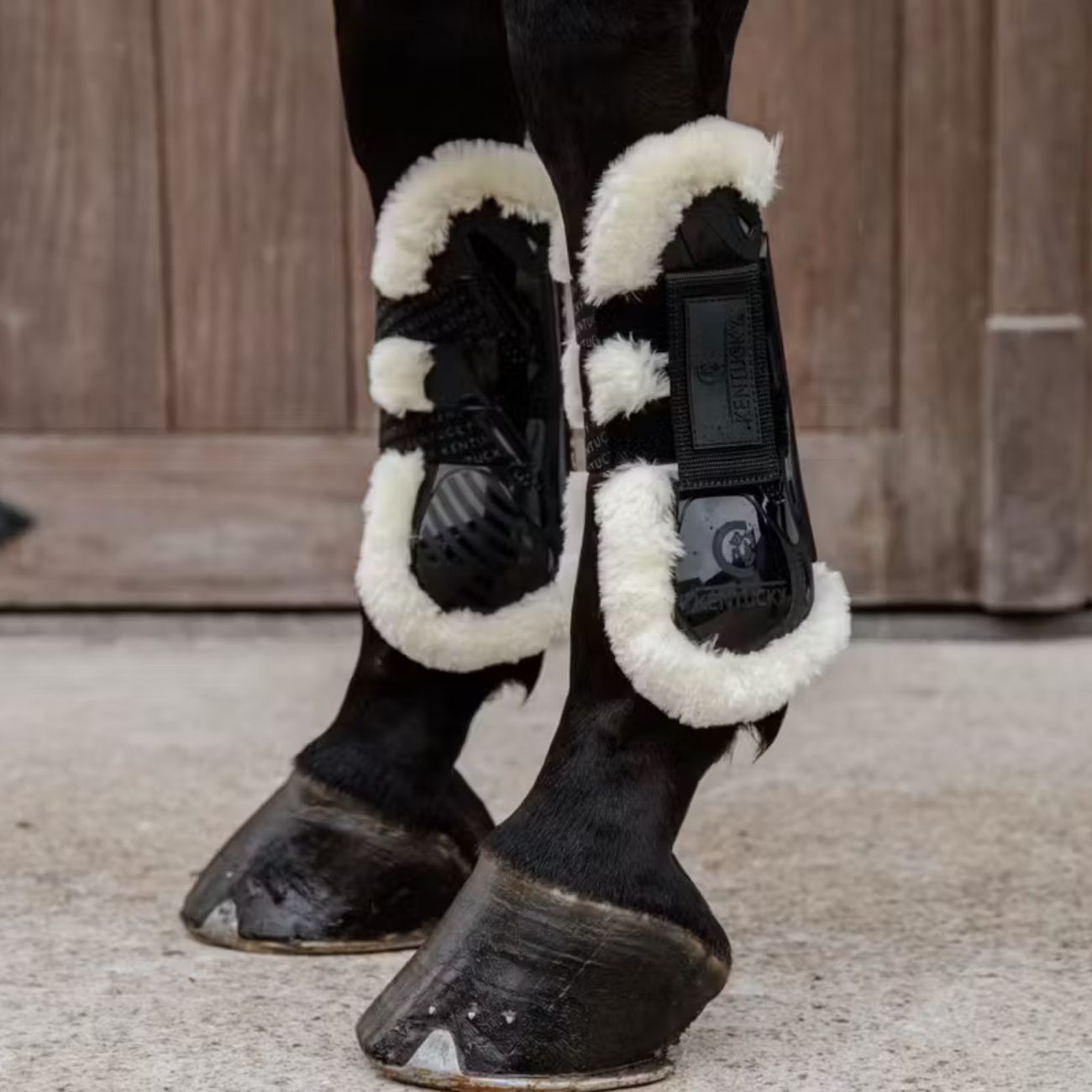 KENTUCKY KENTUCKY VEGAN SHEEPSKIN TENDON BOOTS VELCRO KENTUCKY Nero protezioni arti cavallo 88104 01BLACK 
