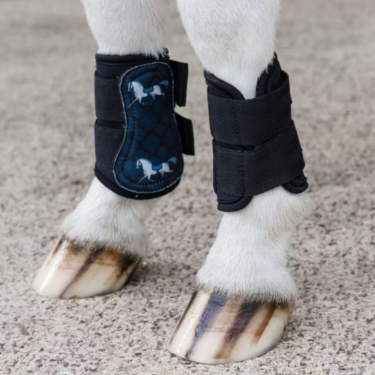 KENTUCKY KENTUCKY TURNOUT BOOTS WITH HORSE DESIGN KENTUCKY Nero protezioni arti cavallo 88109 01BLACK 