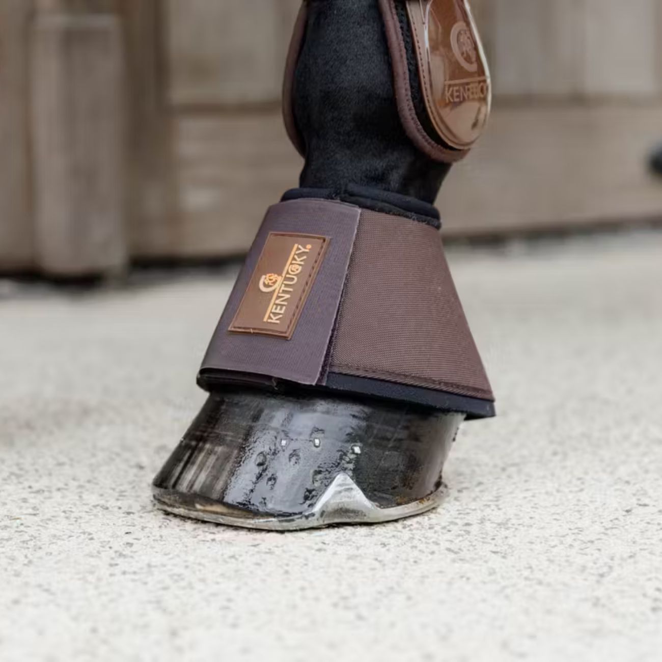 KENTUCKY Paraglomi In Neoprene Con Chiusura In Velcro Kentucky Marrone 88194 05BROWN 