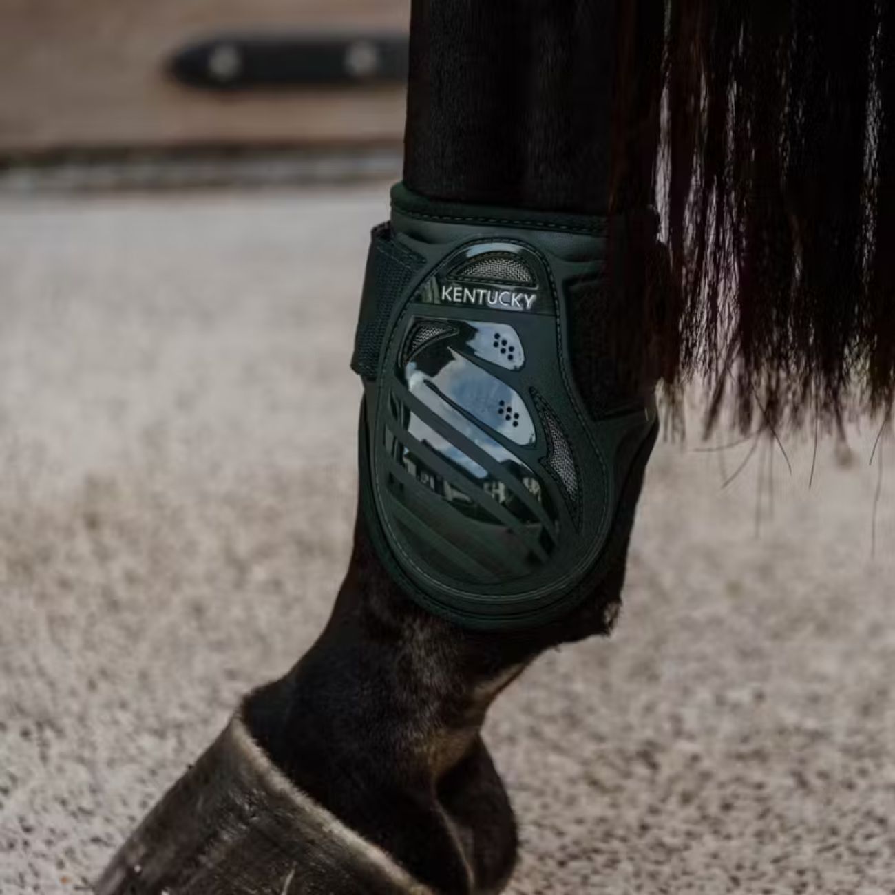 KENTUCKY Paranocche Kentucky Verde 88201 73DARKGREEN 