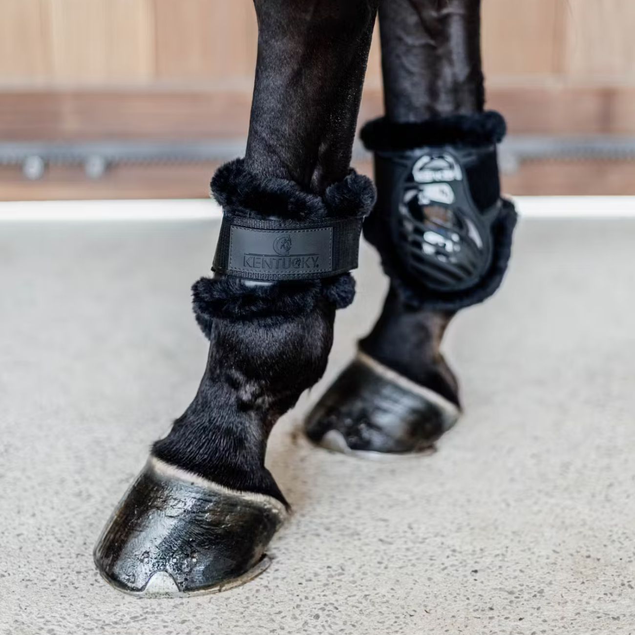 KENTUCKY Paranocche Vegan Sheepskin Young Horse Kentucky Nero/Nero 88205 01-01BLACK/BLACK 