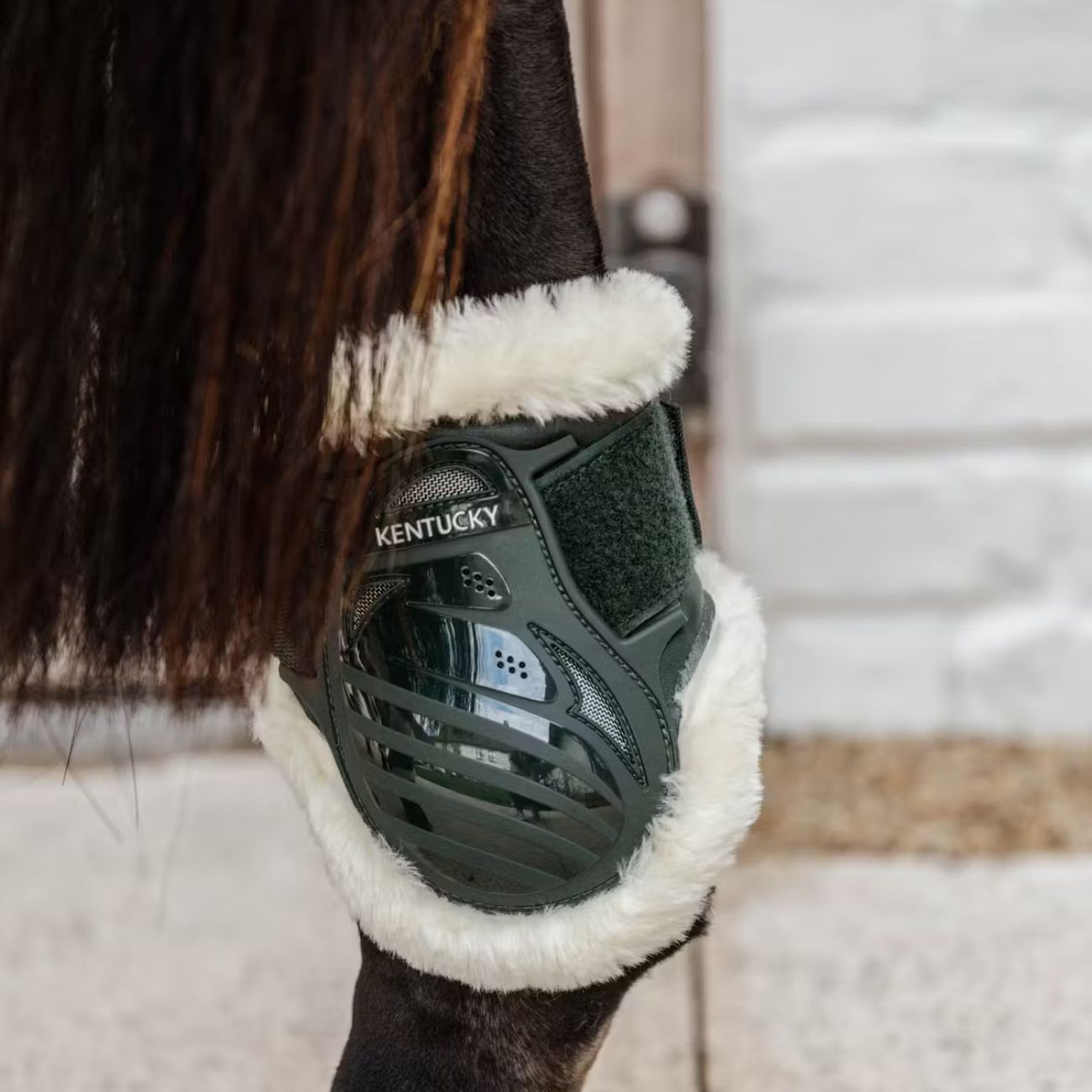 KENTUCKY Paranocche Vegan Sheepskin Young Horse Kentucky Verde Scuro 88205 73DARKGREEN 
