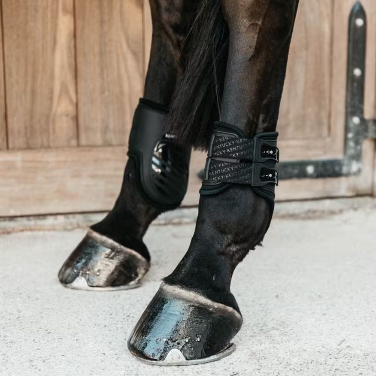 KENTUCKY KENTUCKY FETLOCK BOOTS ELASTIC KENTUCKY Nero protezioni arti cavallo 88207 01BLACK 