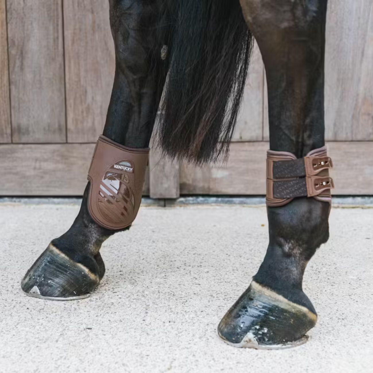 KENTUCKY KENTUCKY FETLOCK BOOTS ELASTIC KENTUCKY Marrone protezioni arti cavallo 88207 05BROWN 