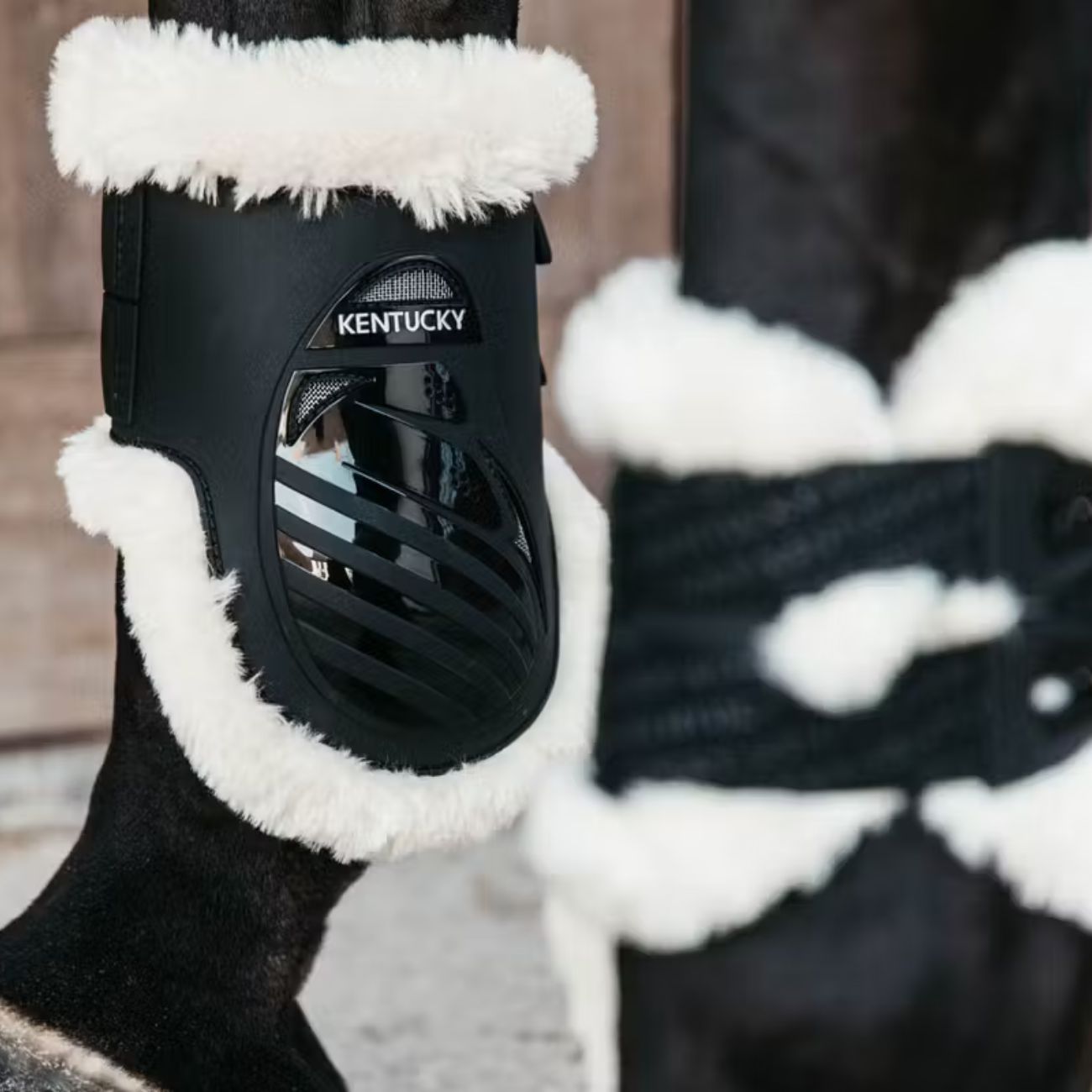 KENTUCKY KENTUCKY VEGAN SHEEPSKIN FETLOCK BOOTS ELASTIC KENTUCKY Nero protezioni arti cavallo 88208 01BLACK 