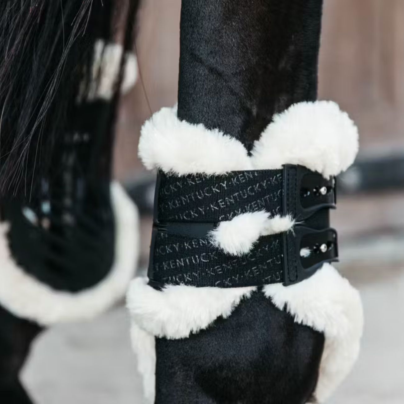 KENTUCKY KENTUCKY VEGAN SHEEPSKIN FETLOCK BOOTS ELASTIC KENTUCKY Nero protezioni arti cavallo 88208 01BLACK 