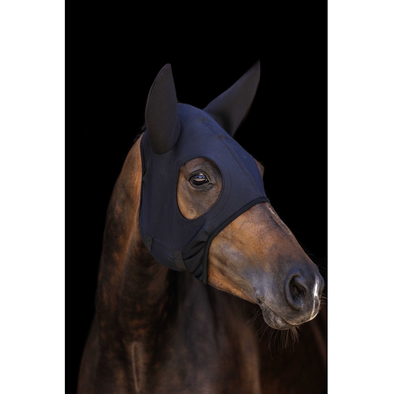 LAMICELL Maschera Antimosche Titanium Lami-Cell 320027 BLACK 