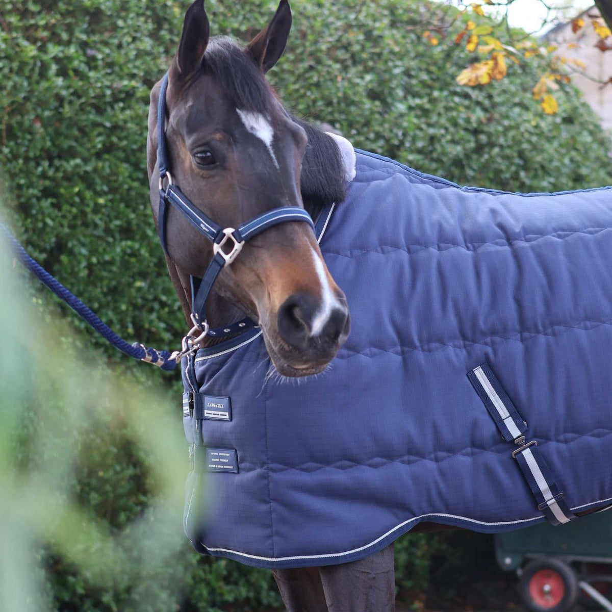 LAMICELL Coperta Da Box Stable Rug Master 1200D 240g 400766 NAVY 
