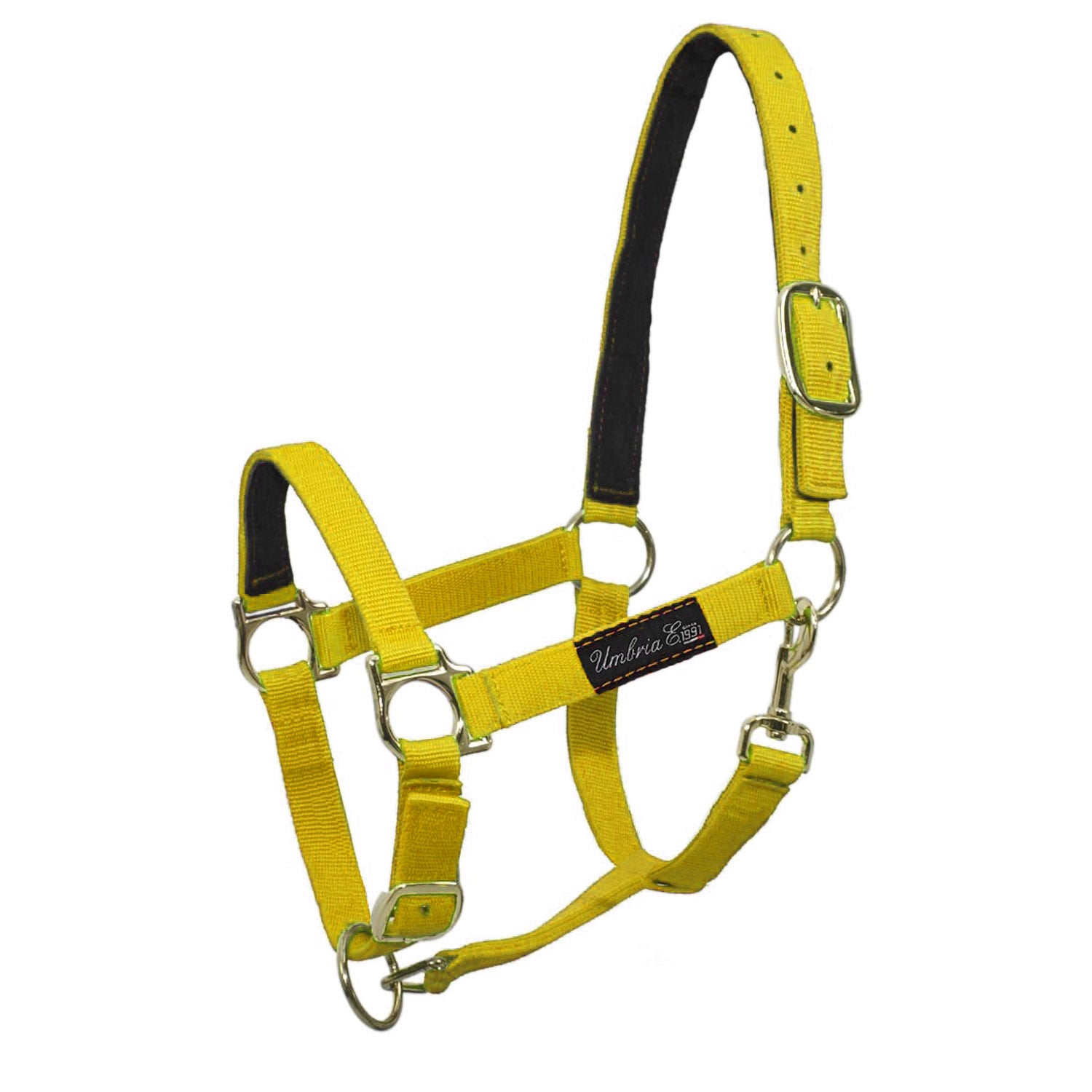 MASCHERONI SELLERIA Capezza Con Rinforzo In Pelle Mascheroni Giallo 09UMCA00040 GIALLO 