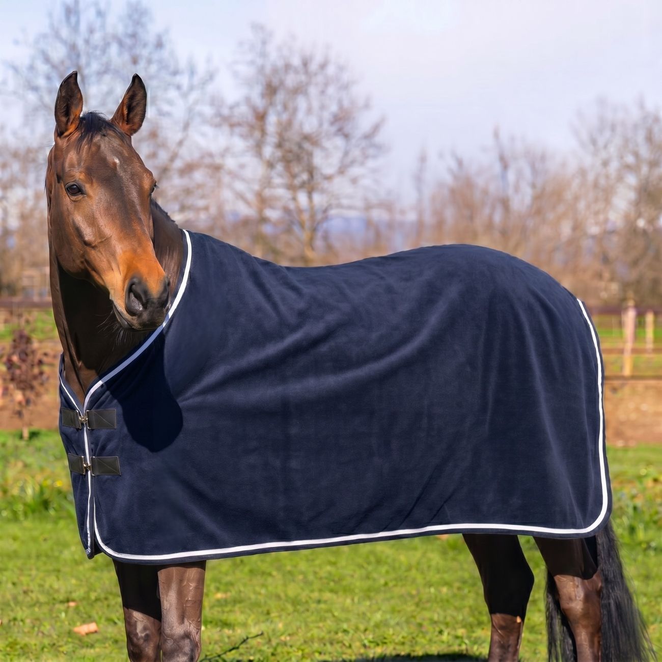 Mascheroni Selleria Coperta in Pile 360g Mascheroni Blu — foto 3 di 3