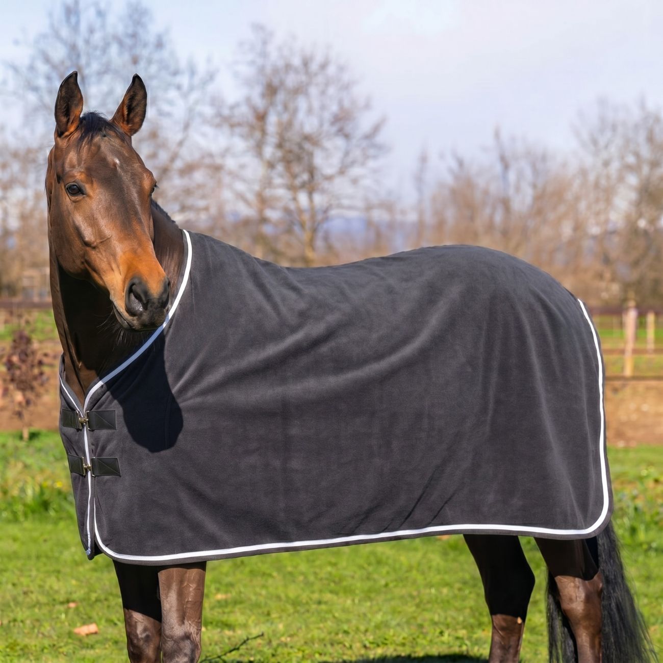 Mascheroni Selleria Coperta in Pile 360g Mascheroni Grigio — foto 3 di 3
